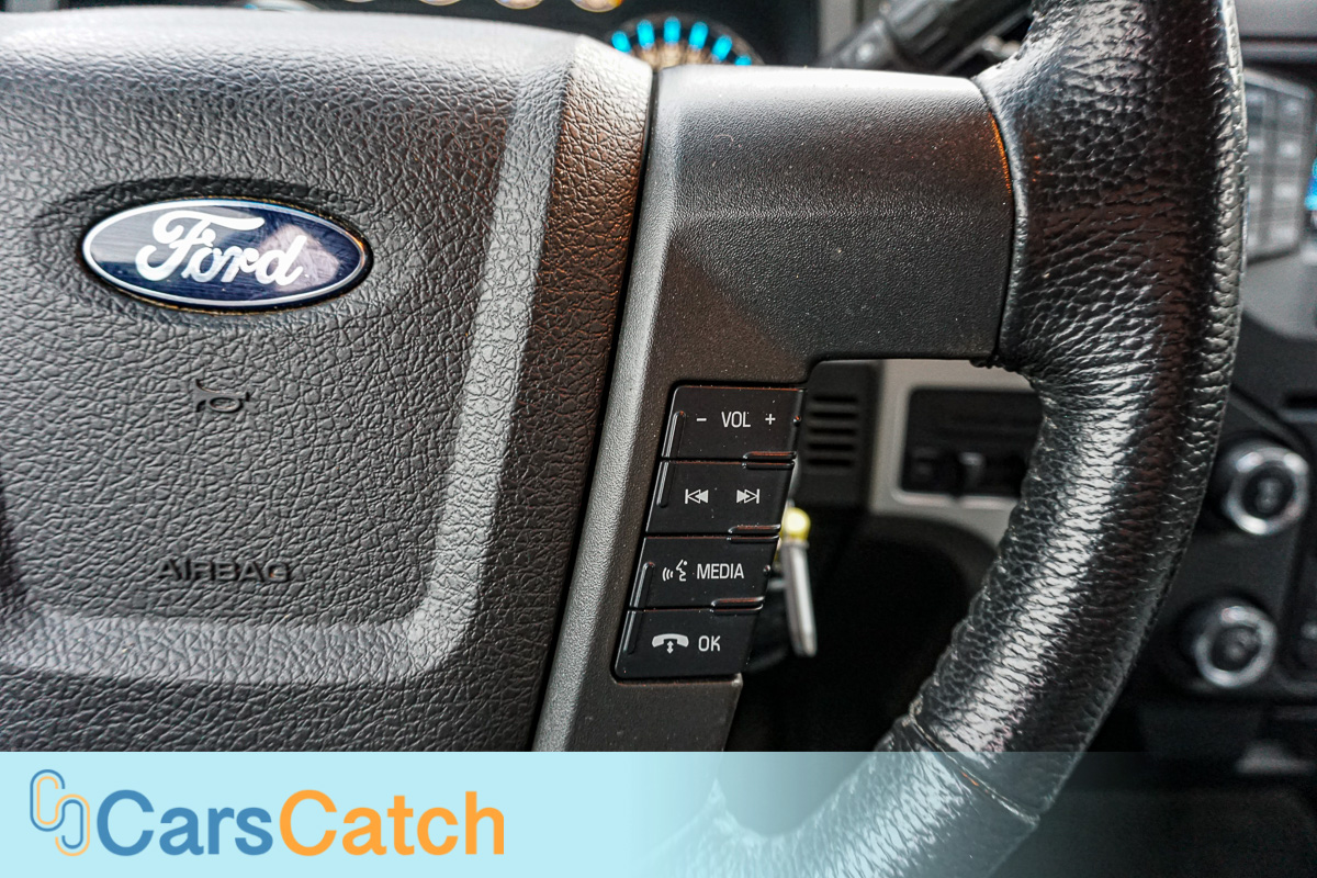 CARSCATCH - Used vehicle - Truck FORD F-150 2014