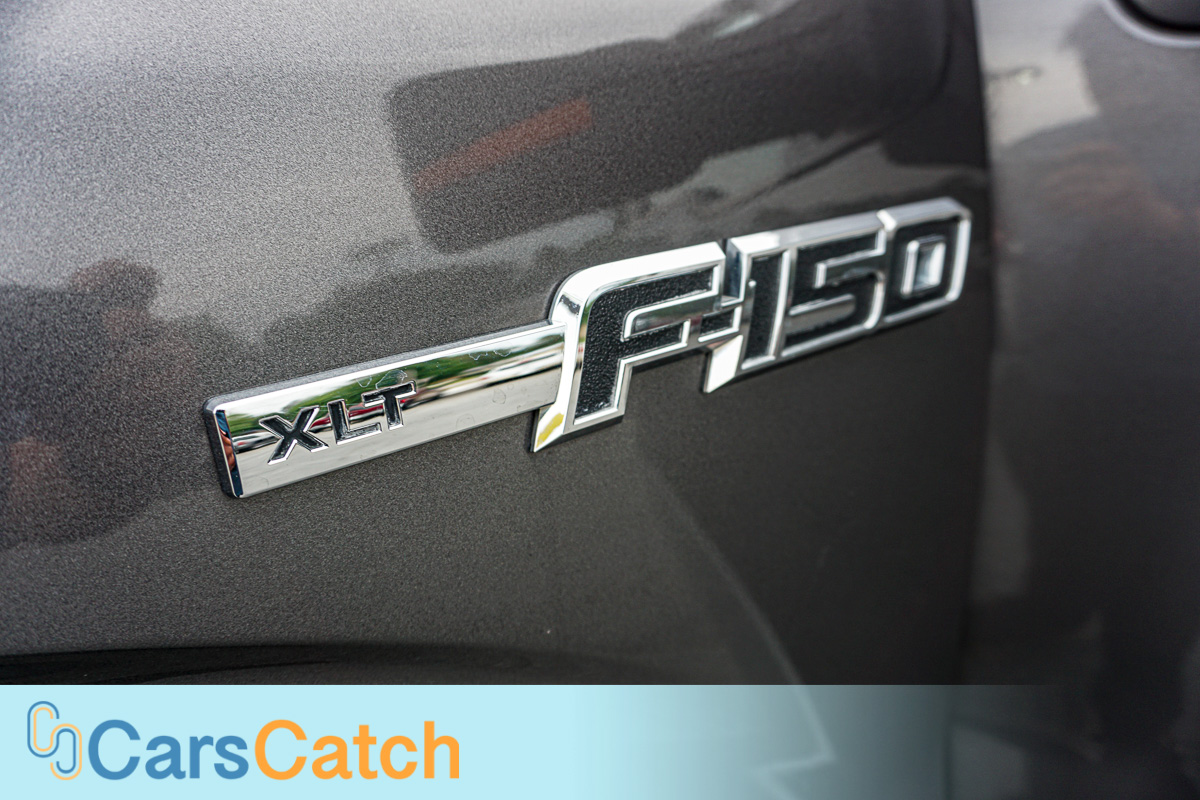 CARSCATCH - Used vehicle - Truck FORD F-150 2014