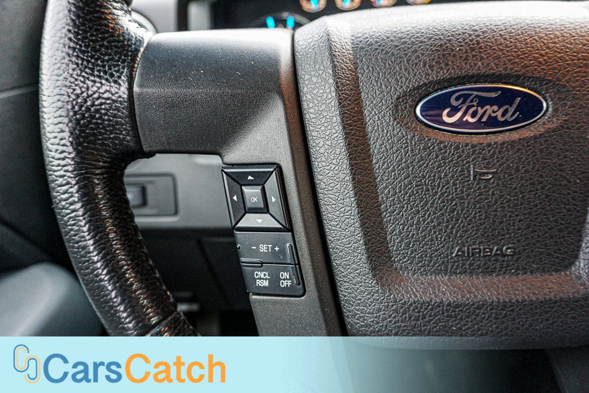 CARSCATCH - Used vehicle - Truck FORD F-150 2014