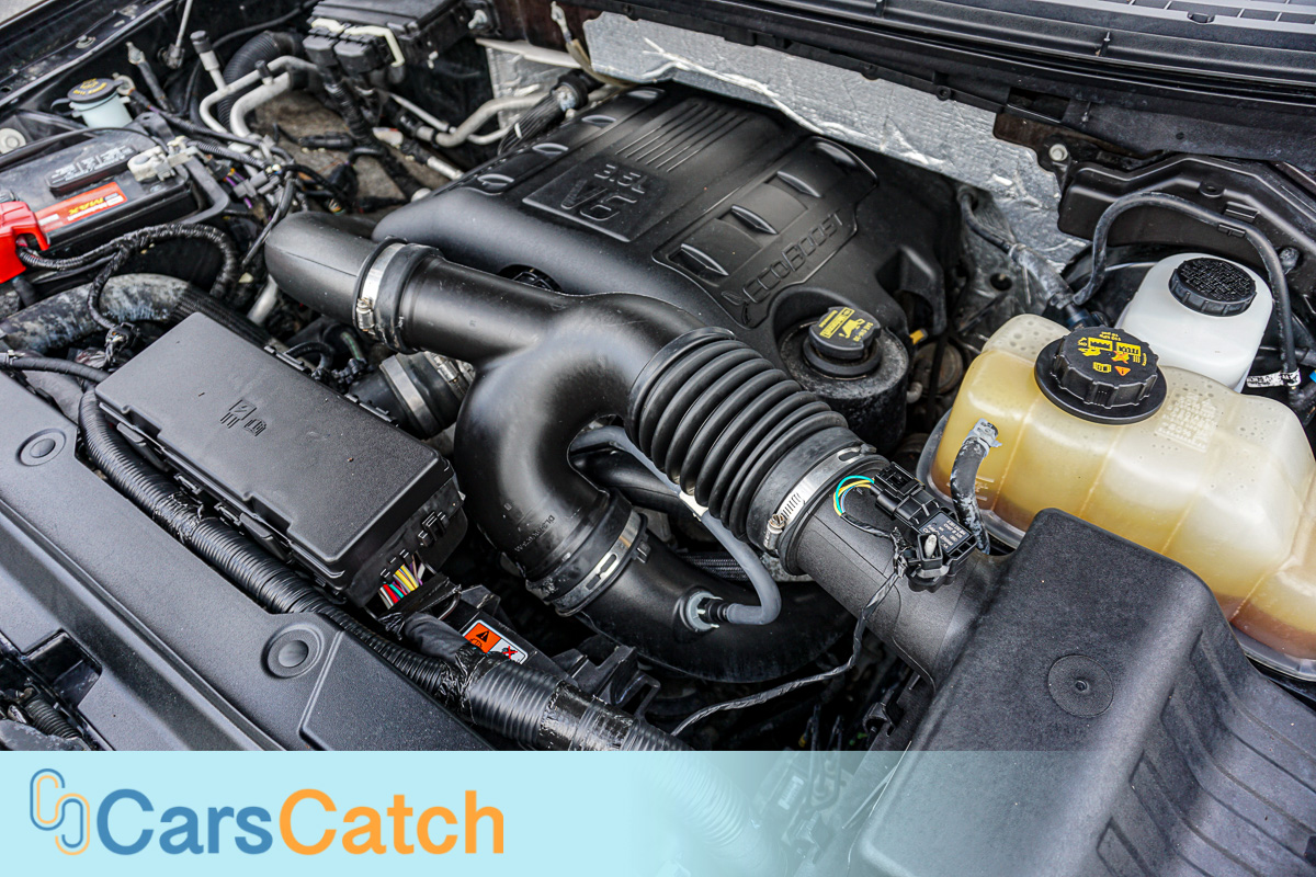 CARSCATCH - Used vehicle - Truck FORD F-150 2013