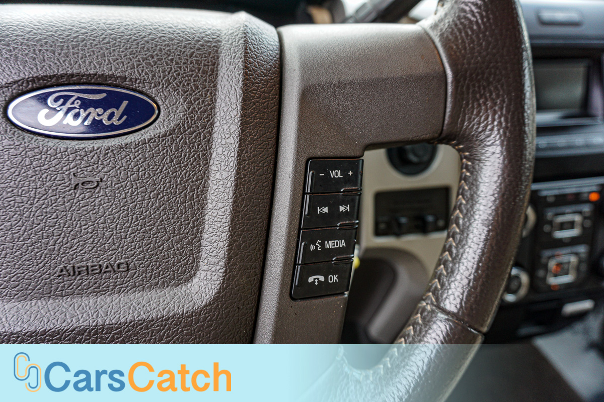 CARSCATCH - Used vehicle - Truck FORD F-150 2013