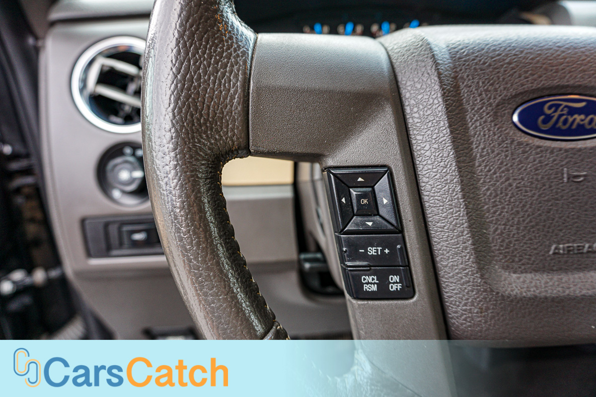 CARSCATCH - Used vehicle - Truck FORD F-150 2013