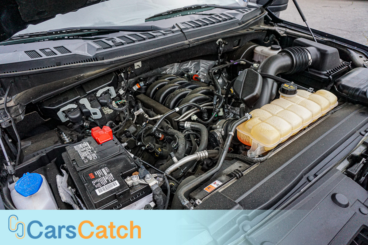 CARSCATCH - Used vehicle - Truck FORD F-150 2018