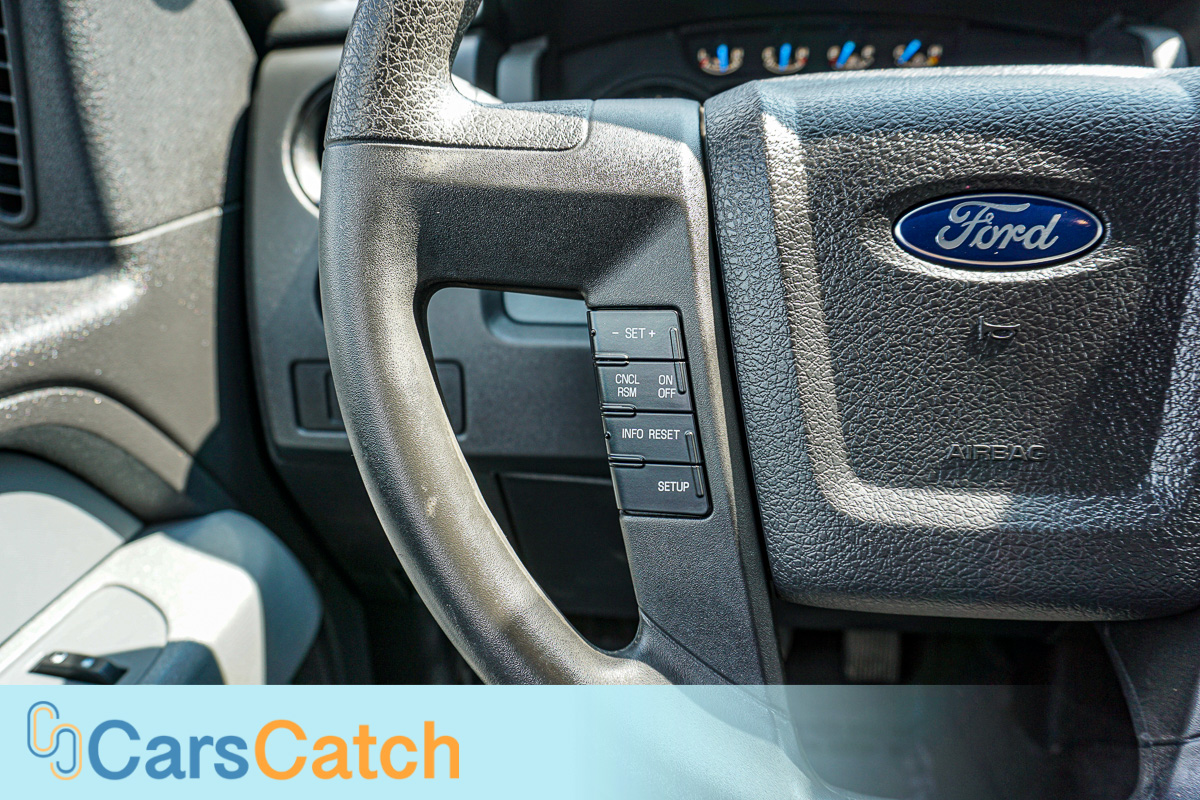 CARSCATCH - Used vehicle - Truck FORD F-150 2014