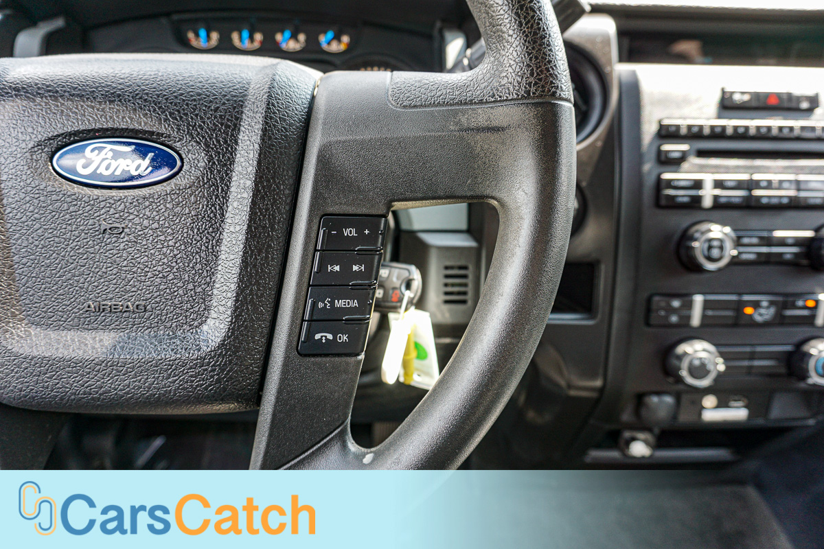 CARSCATCH - Used vehicle - Truck FORD F-150 2014