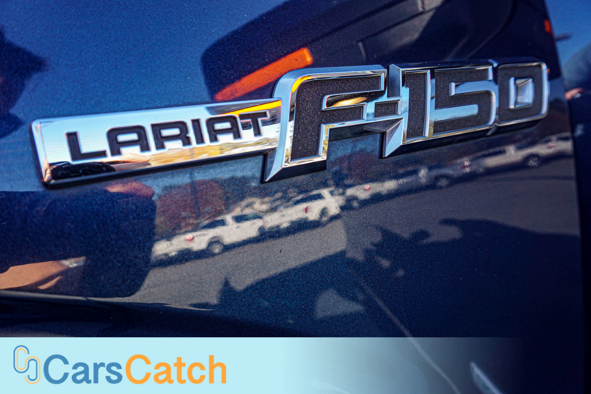 CARSCATCH - Used vehicle - Truck FORD F-150 2013