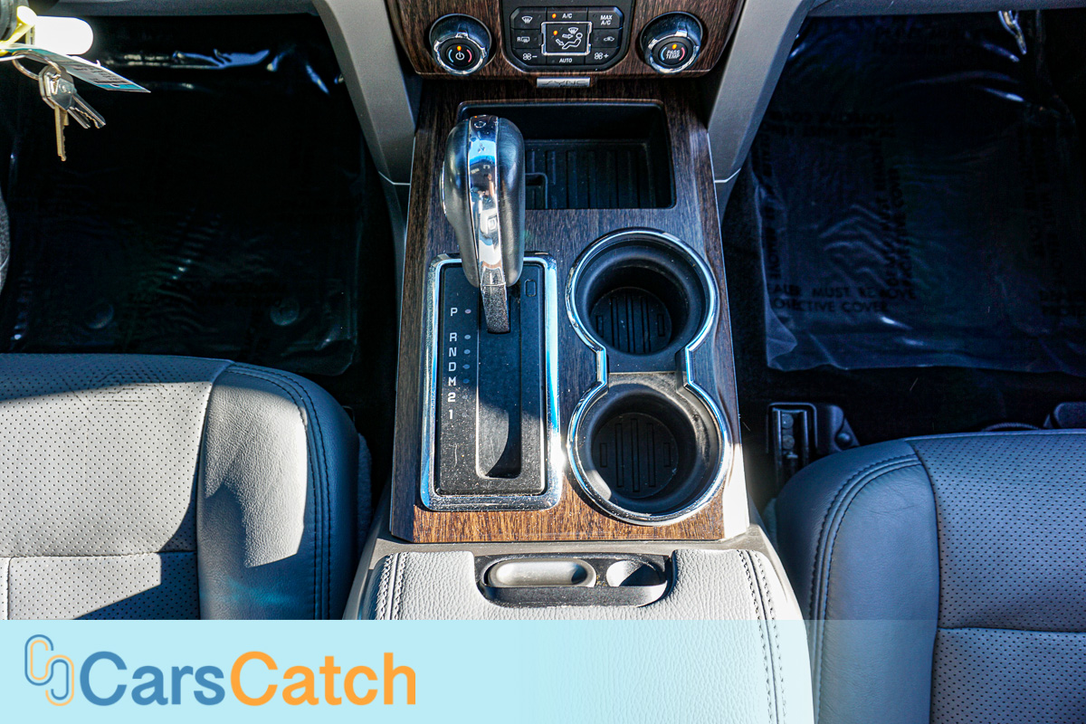 CARSCATCH - Used vehicle - Truck FORD F-150 2013