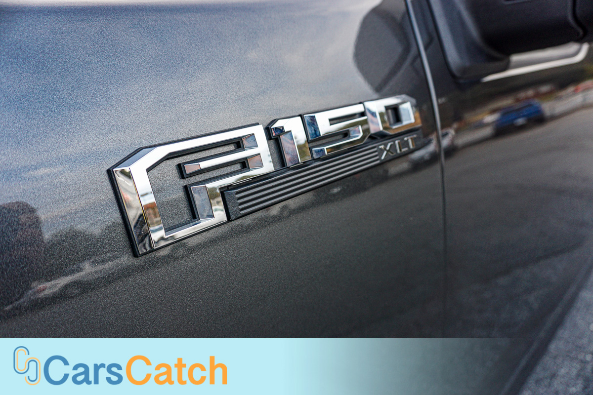 CARSCATCH - Used vehicle - Truck FORD F-150 2016