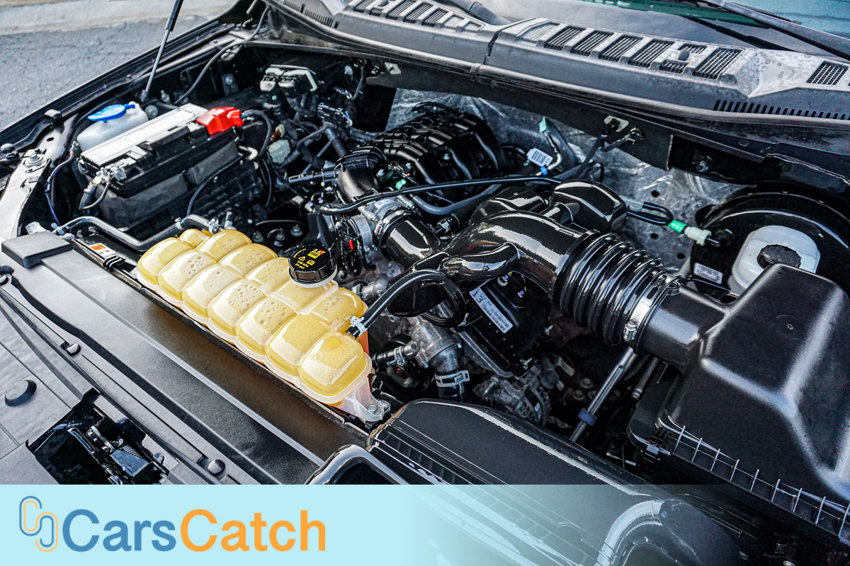 CARSCATCH - Used vehicle - Truck FORD F-150 2016