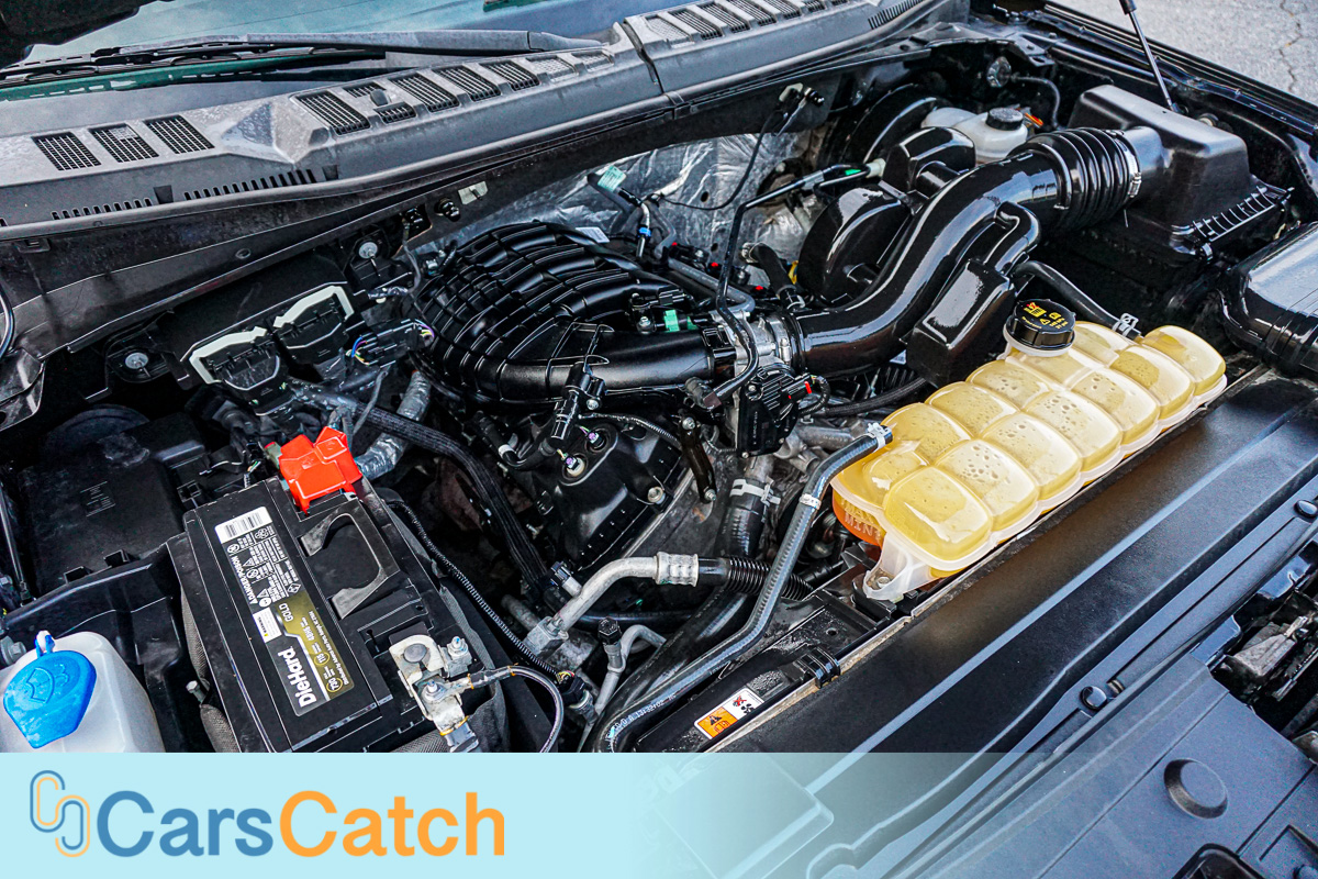 CARSCATCH - Used vehicle - Truck FORD F-150 2016