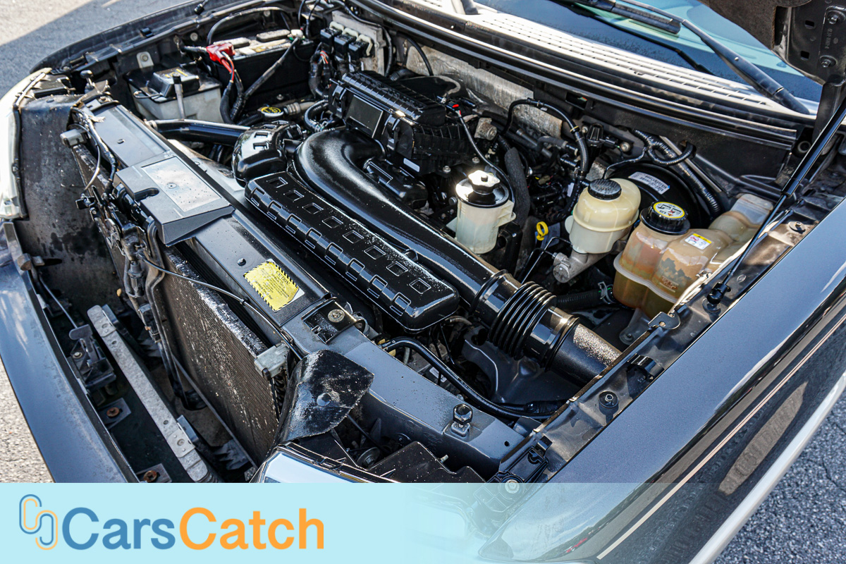 CARSCATCH - Used vehicle - Truck FORD F-150 2007