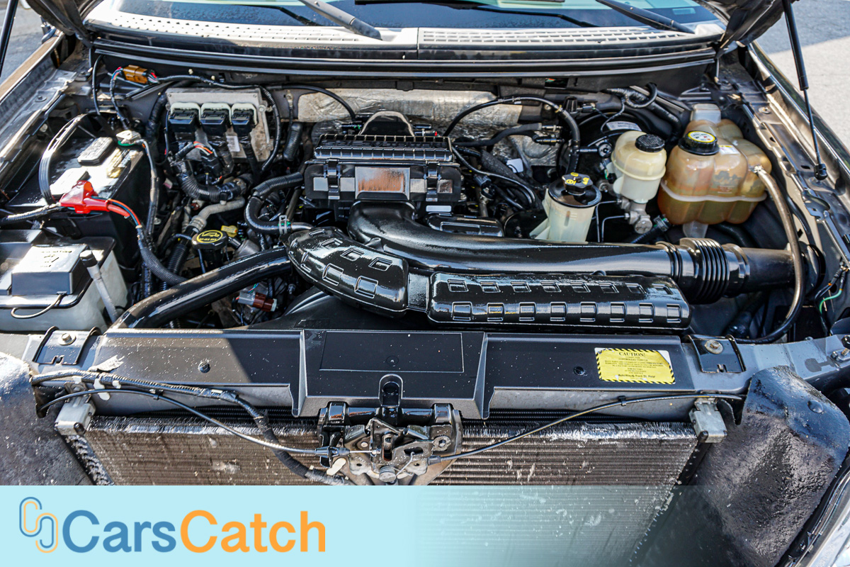 CARSCATCH - Used vehicle - Truck FORD F-150 2007