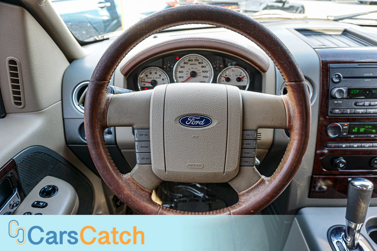 CARSCATCH - Used vehicle - Truck FORD F-150 2007