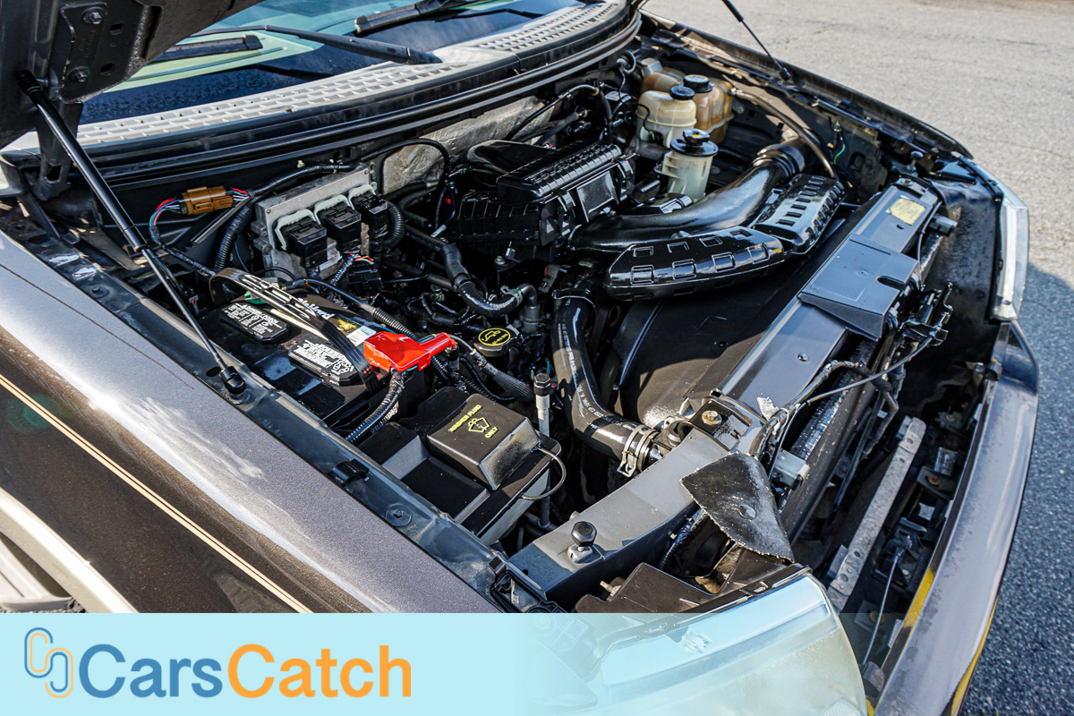 CARSCATCH - Used vehicle - Truck FORD F-150 2007