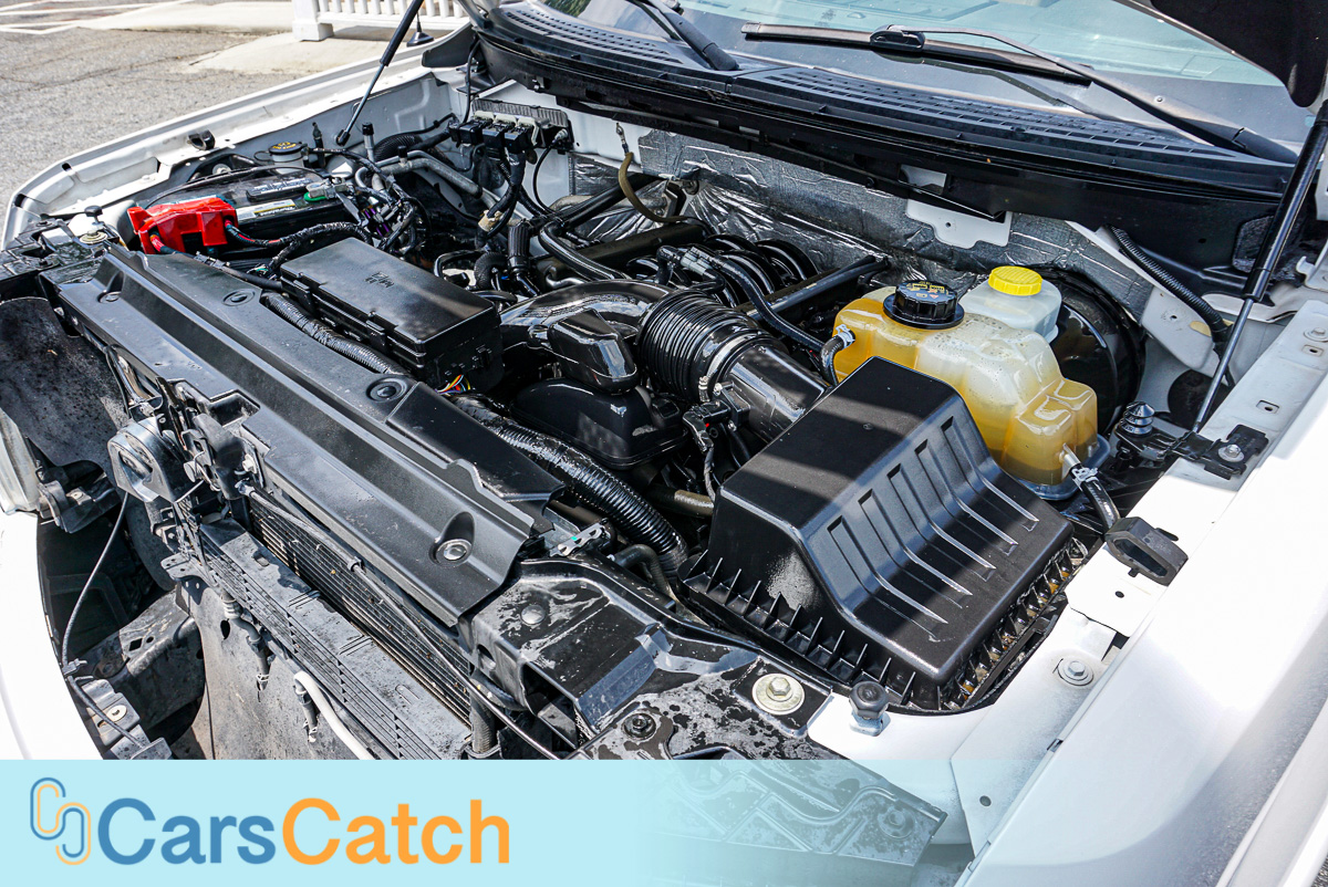 CARSCATCH - Used vehicle - Truck FORD F-150 2014