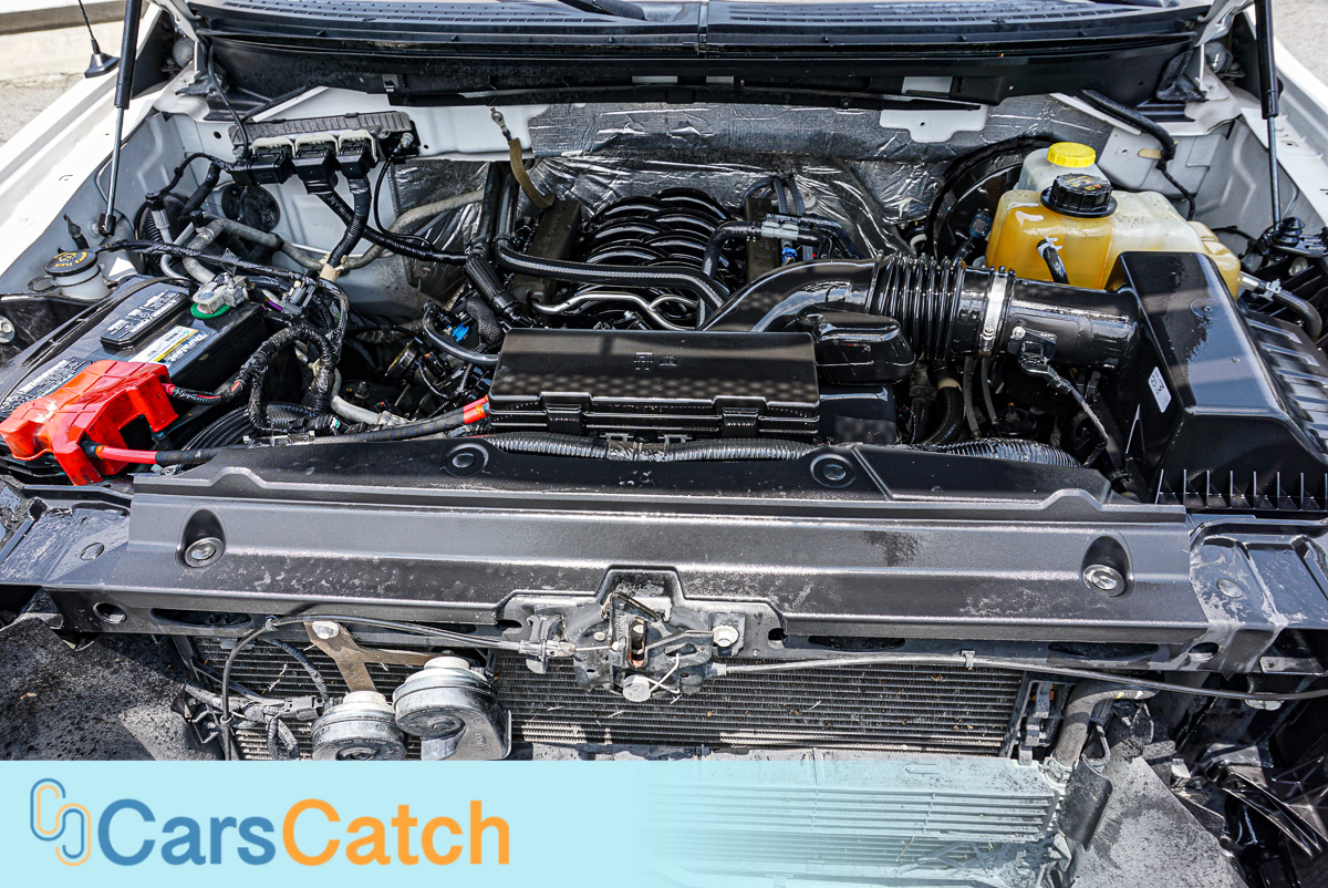 CARSCATCH - Used vehicle - Truck FORD F-150 2014