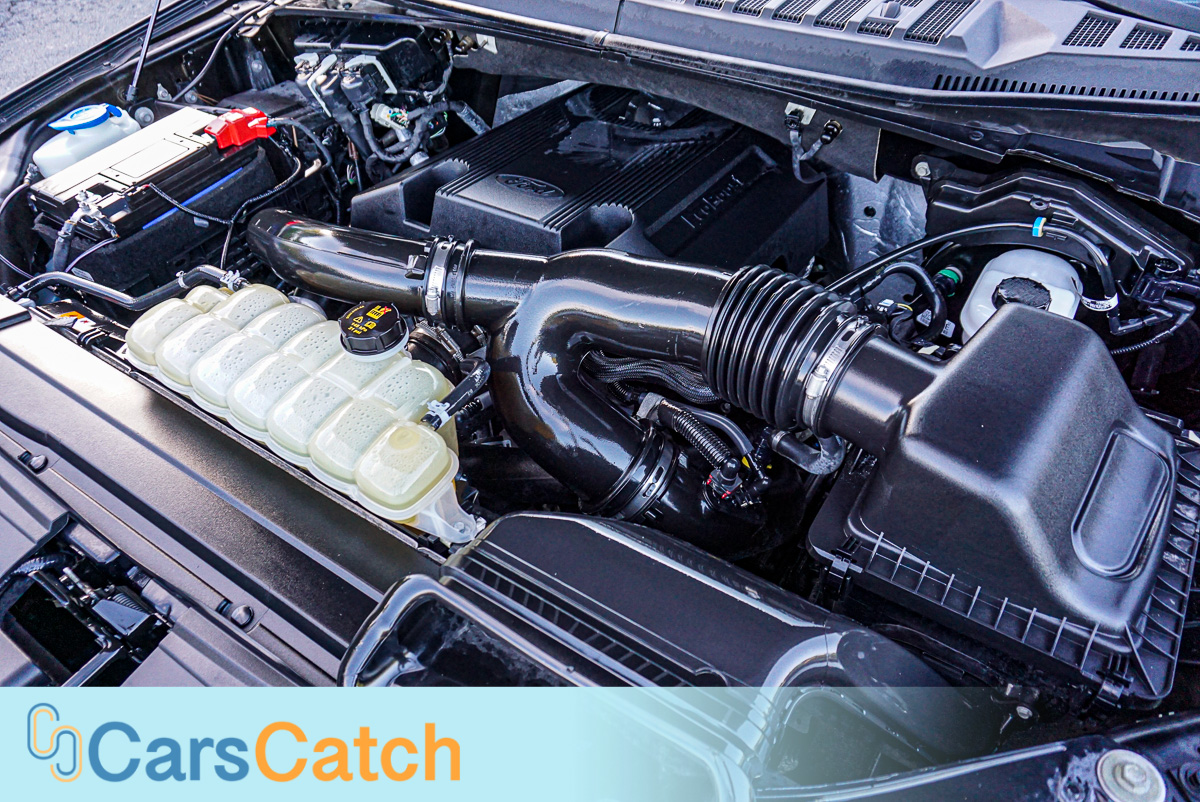 CARSCATCH - Used vehicle - Truck FORD F-150 2020