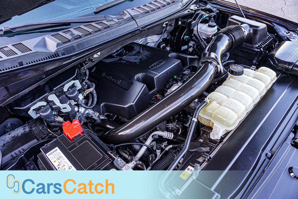 CARSCATCH - Used vehicle - Truck FORD F-150 2020