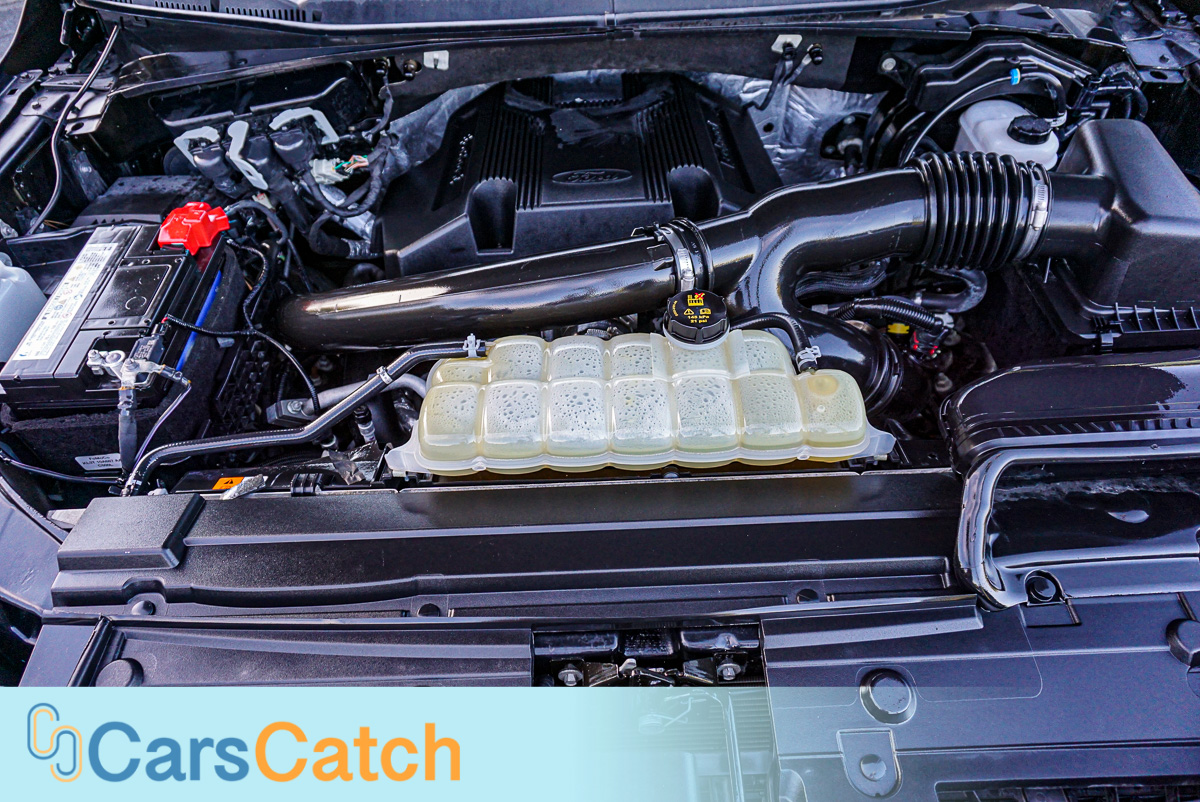 CARSCATCH - Used vehicle - Truck FORD F-150 2020