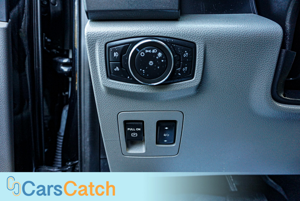 CARSCATCH - Used vehicle - Truck FORD F-150 2020