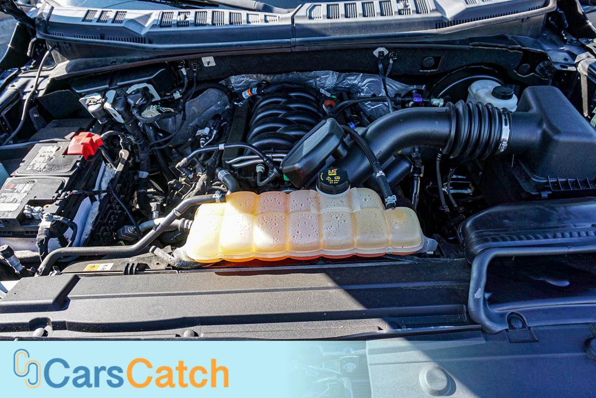 CARSCATCH - Used vehicle - Truck FORD F-150 2018