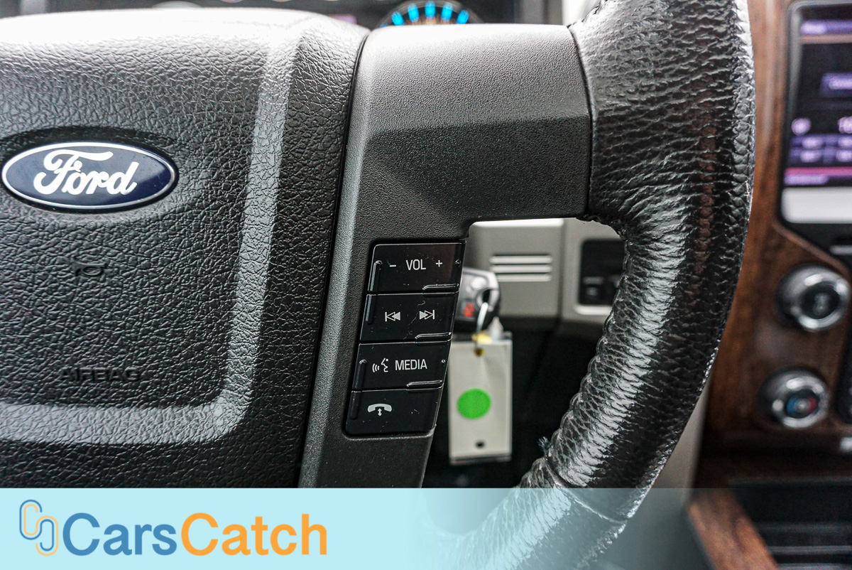 CARSCATCH - Used vehicle - Truck FORD F-150 2013