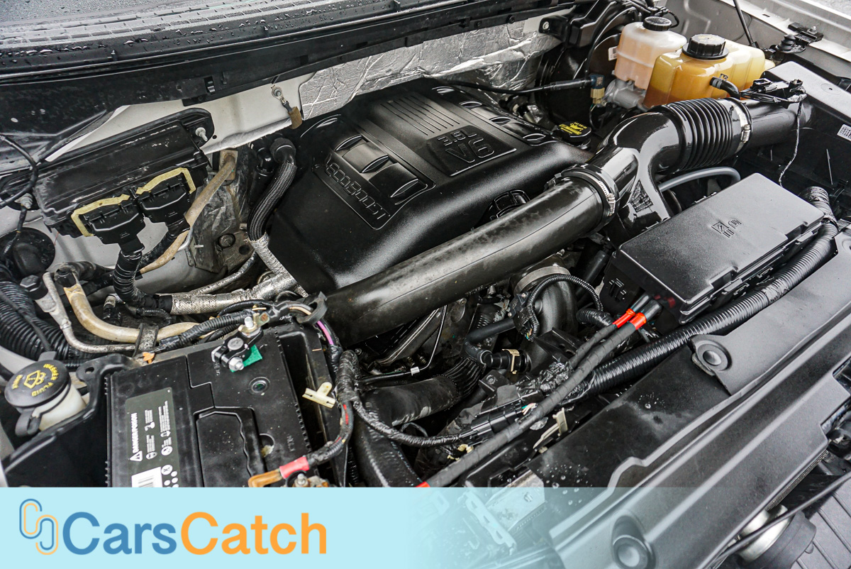 CARSCATCH - Used vehicle - Truck FORD F-150 2013