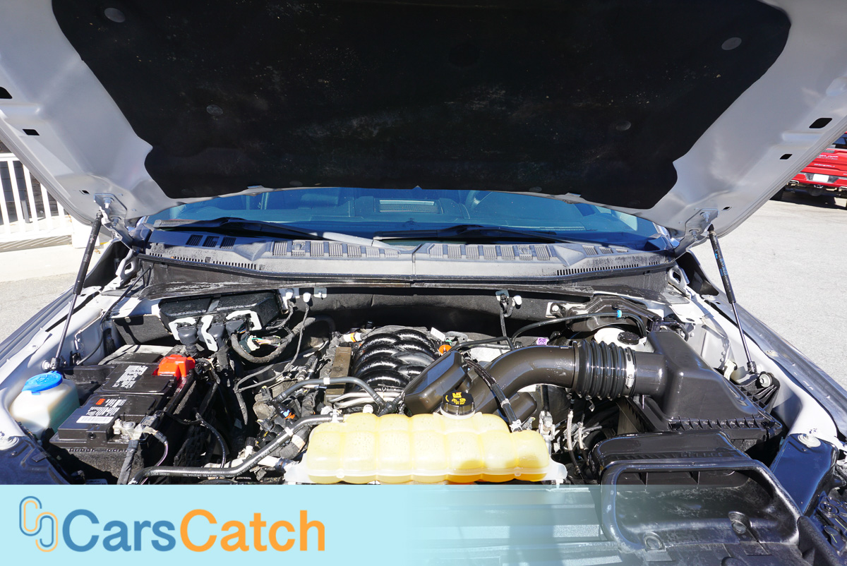 CARSCATCH - Used vehicle - Truck FORD F-150 2020