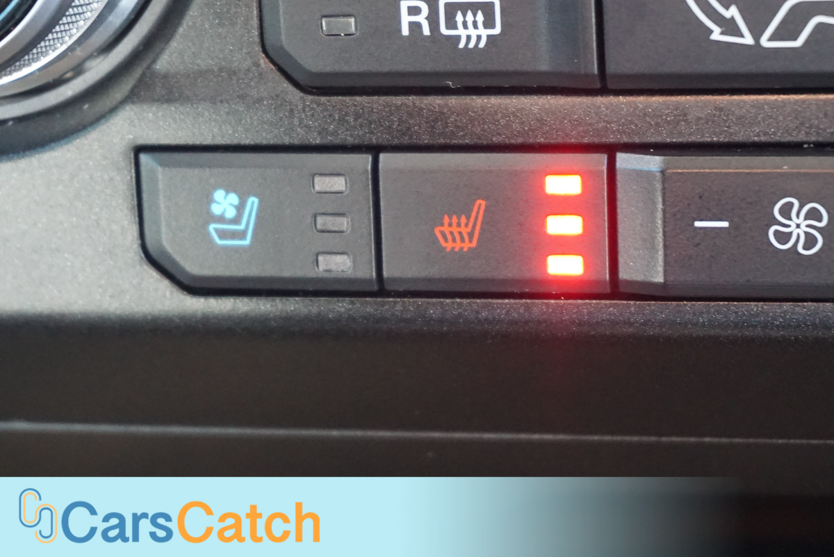 CARSCATCH - Used vehicle - Truck FORD F-150 2020