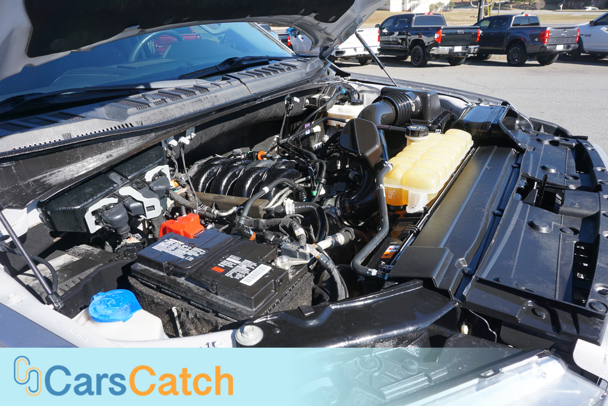 CARSCATCH - Used vehicle - Truck FORD F-150 2020