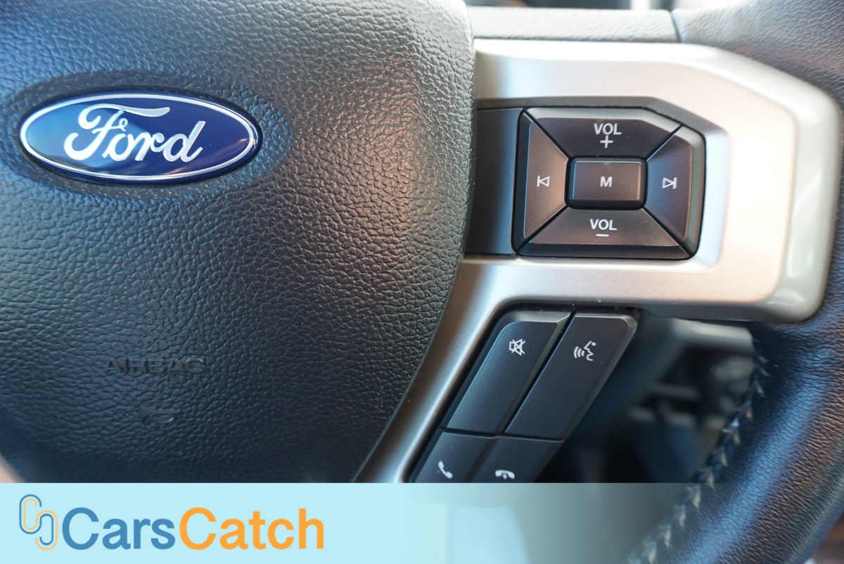 CARSCATCH - Used vehicle - Truck FORD F-150 2020