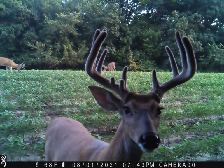 1943:080121:68F:CAMERA00  :6