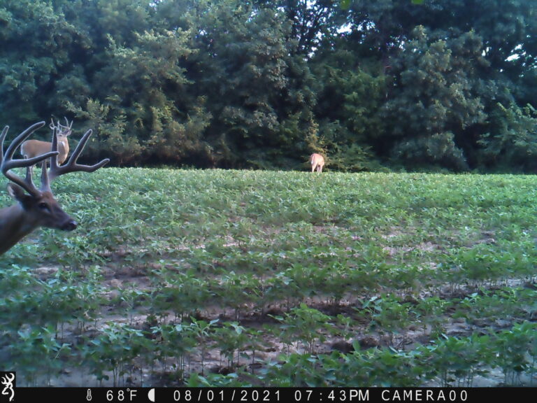 1943:080121:68F:CAMERA00  :6