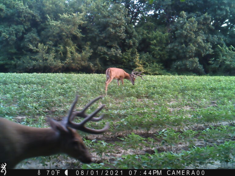 1944:080121:70F:CAMERA00  :6