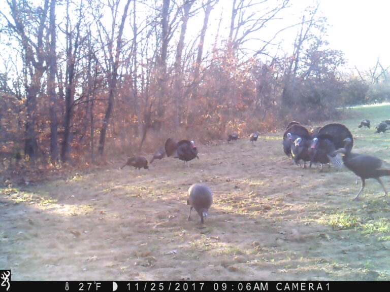 0906:112517:27F:CAMERA1   :2