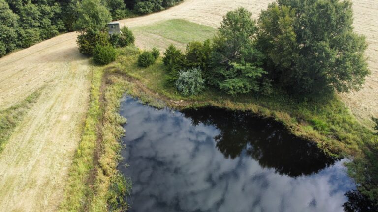 DCIM100MEDIADJI_0849