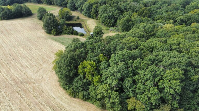 DCIM100MEDIADJI_0862