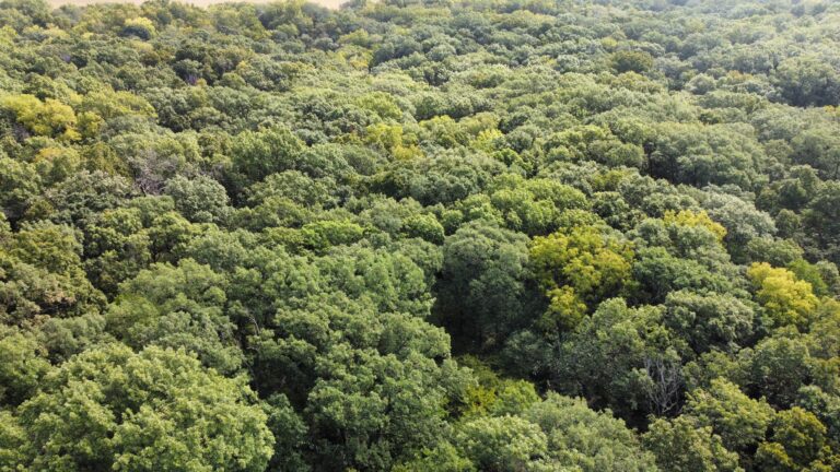 DCIM100MEDIADJI_0863