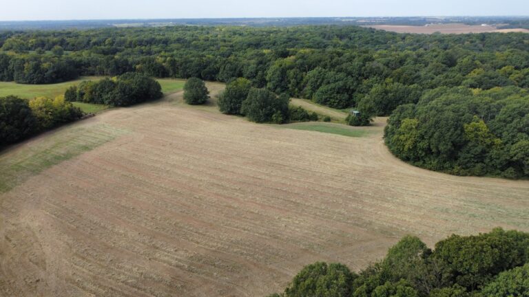 DCIM100MEDIADJI_0865