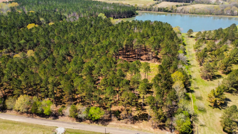 DCIM101MEDIADJI_0707