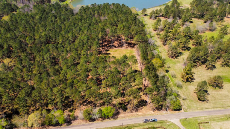 DCIM101MEDIADJI_0708