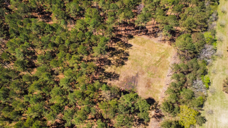 DCIM101MEDIADJI_0710