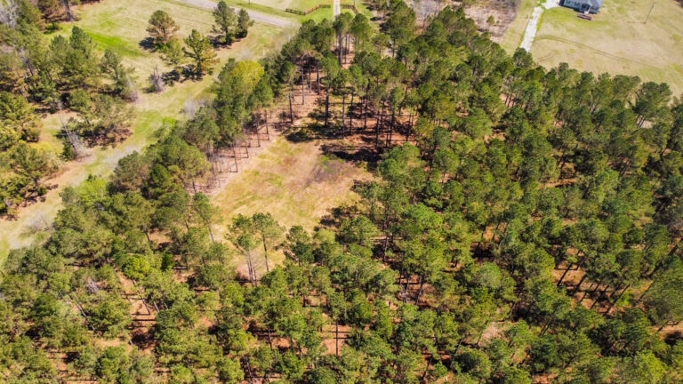 DCIM101MEDIADJI_0711