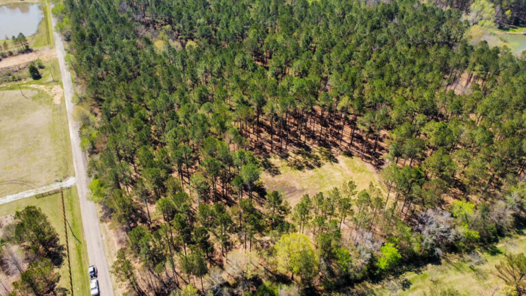 DCIM101MEDIADJI_0712