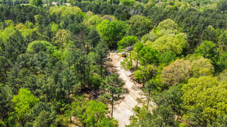 DCIM101MEDIADJI_0738