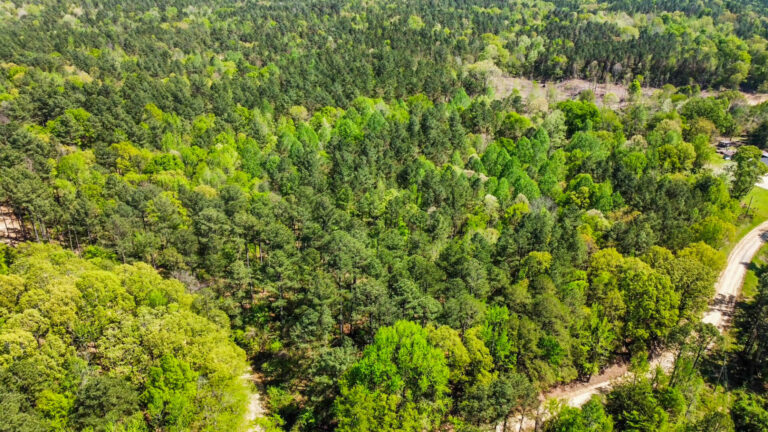 DCIM101MEDIADJI_0739