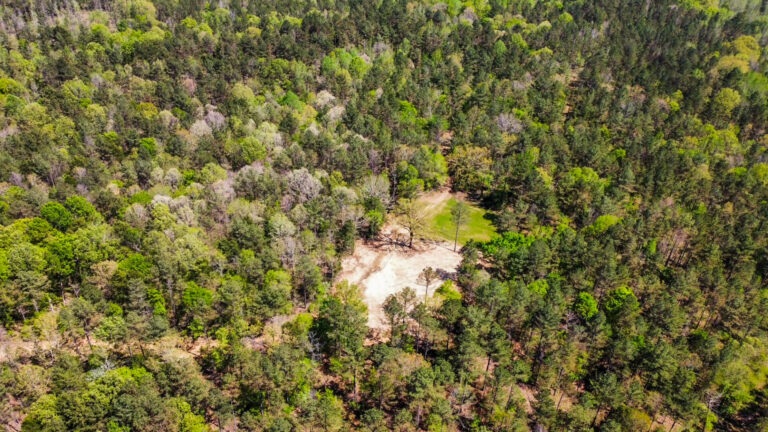 DCIM101MEDIADJI_0745