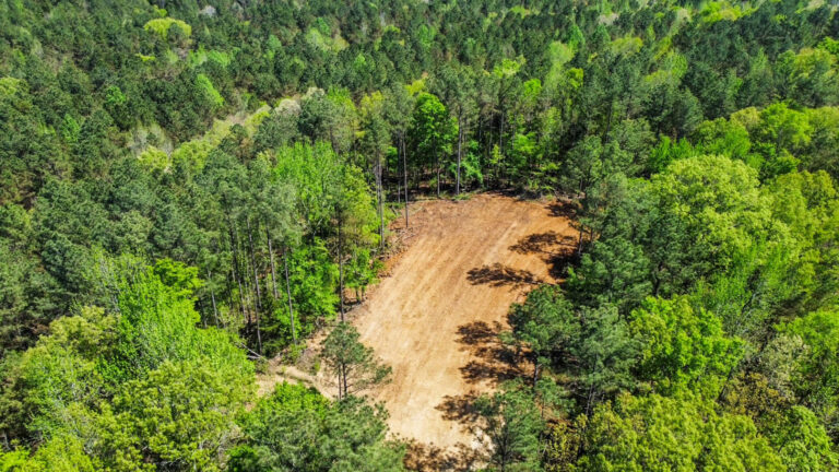 DCIM101MEDIADJI_0748