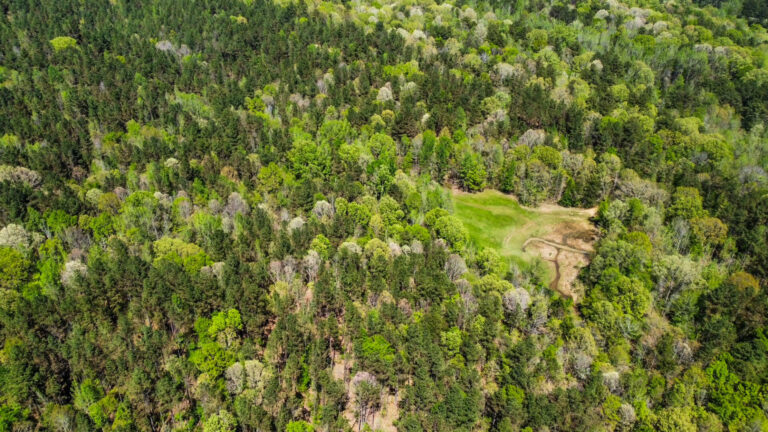 DCIM101MEDIADJI_0750