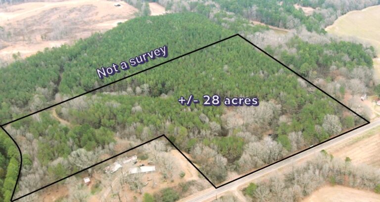 Screenshot 2025-02-12 0752257688(1)